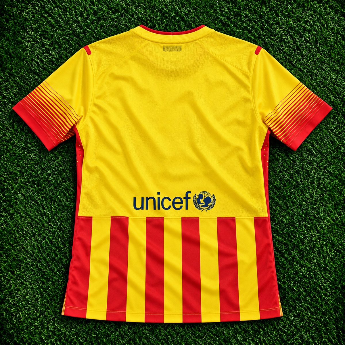 Camiseta FC Barcelona (13/14)
