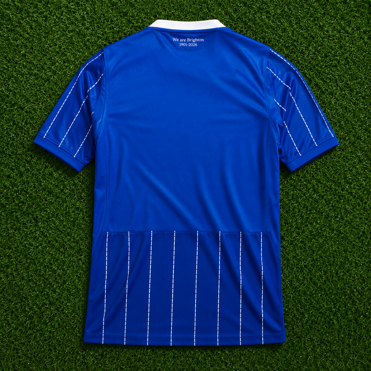 Camiseta Brighton (26/27). 1ª Equipación